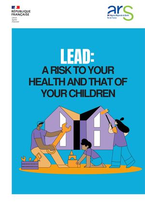 Plaquette - Plomb Anglais