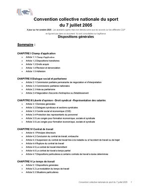 Convention collective nationale du sport du 7 juillet 2005