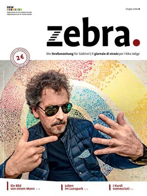 zebra_018 Juni 16