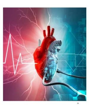 Anatomía del Corazón