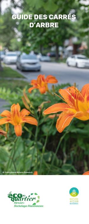 Guide Des Carrés D'arbre