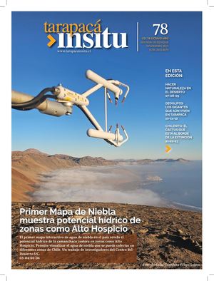Revista Tarapaca Insitu - Edicion 78
