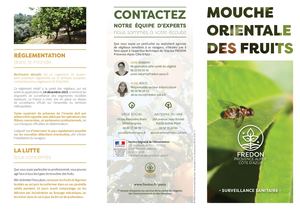 Dépliant Bactrocera Dorsalis