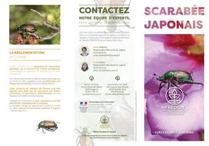 Dépliant Popillia Japonica