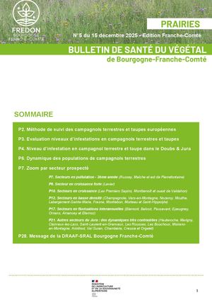 Bsv Prairie 5 2025 Fc