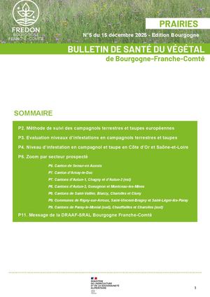 Bsv Prairie 5 2025 Bo