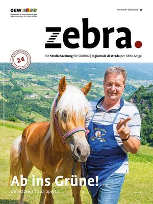 zebra_049 Juli 19