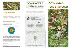 Dépliant Xylella Fastidiosa