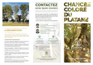 Dépliant Chancre Coloré Du Platane