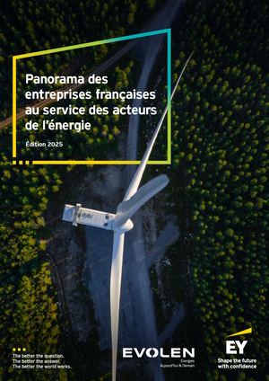 Panorama Des Entreprises - EY & EVOLEN 2025