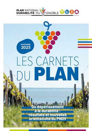 Carnet Pndv Cniv 2025 16 12 25 A4