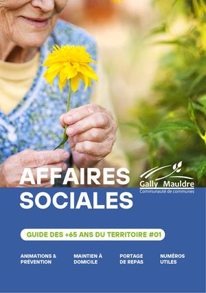 Guide Des Affaires Sociales