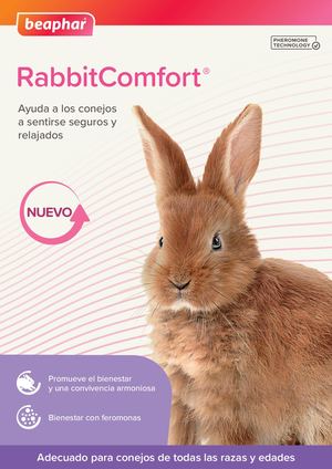 Calaméo - Folleto Informativo Rabbit Comfort