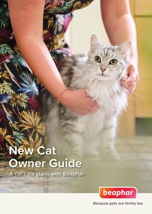 New Pet Owner Guide Cat