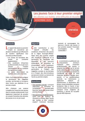 Synthèse - Les Jeunes Face à Leur 1er Emploi