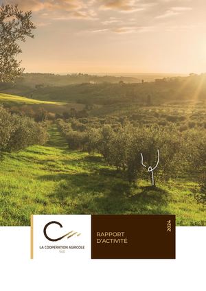 Rapport d'activité 2024 - LCA Sud