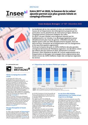 Publication Analyse Financiere Tourisme