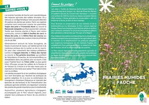 Prairies humides de fauche