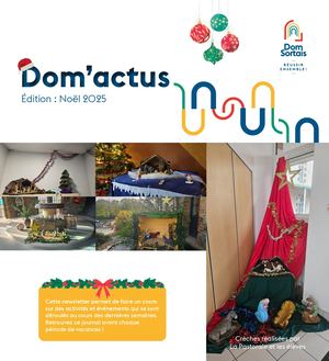 N°2 Newsletter Dom'actus Noël 2025