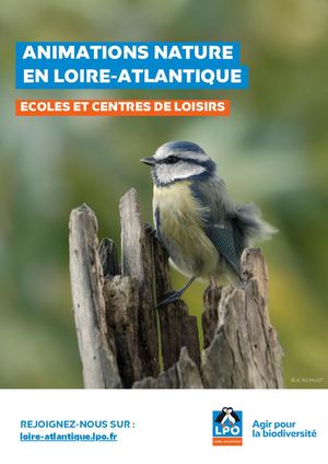 Catalogue Animations Ecoles Et Centres De Loisirs