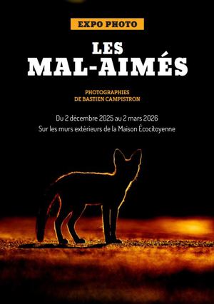 Guide de l'exposition « Les mal-aimés » de Bastien Campistron