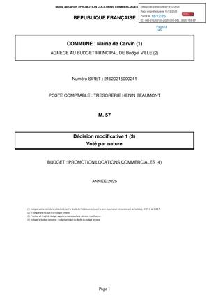 DECISION BUDGÉTAIRE MODIFICATIVE N° 1 BUDGET ANNEXE AMÉNAGEMENT PROMOTION LOCATIONS COMMERCIALES 2025