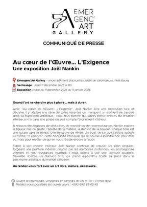 Communiqué De Presse Expo Joel Nankin