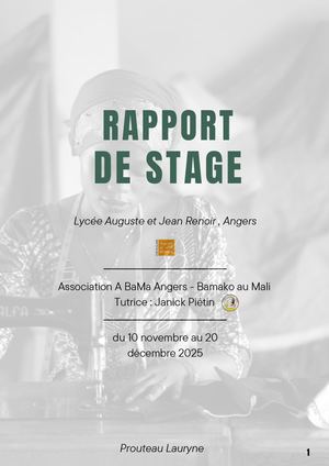 Rapport De Stage A BaMa