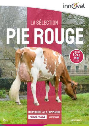 Sélection Pie Rouge - Janvier 2026