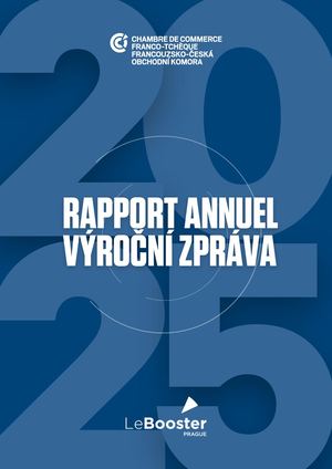 Final Rapport Annuel 2025