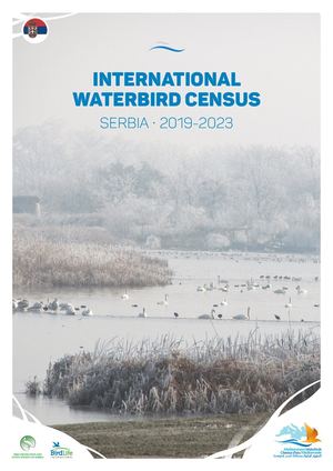 2025 Mwn Serbia Report En