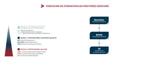 Parcours Prothésiste-dentaire