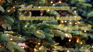 Библиотерапия. Встречаем вместе Новый год