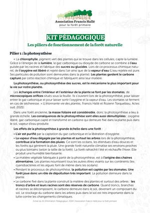 Piliers De La Foret Naturelle