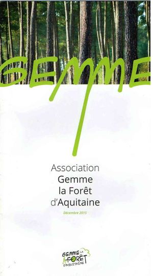 Gemme Aquitaine Raster