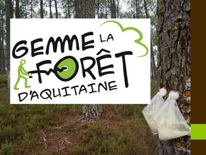 Gemme Projet Power Point
