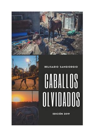Belisario Sangiorgio: poeta y escritor argentino