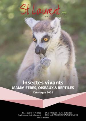 Catalogue INSECTES VIVANTS