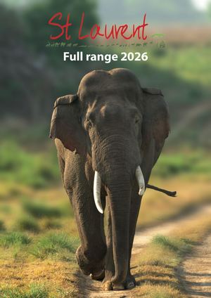 Saint Laurent Full Range Catalog 2025