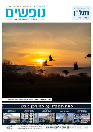 נופשים - סגנון חיים למשפחה דתית |  דתל"ן - נדל"ן וכלכלה למשפחה הדתית