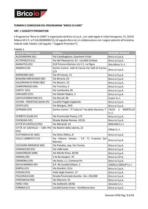 Brico io Card Termini E Condizioni - 2026