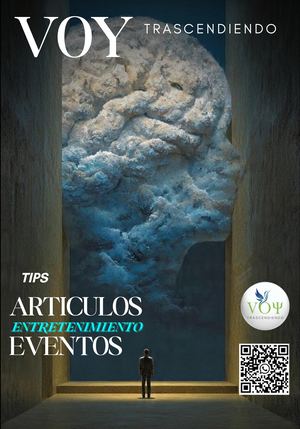 Revista Vt Ed 7 2026