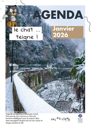 Chat Teigne janvier 2026
