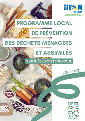 Synthèse Non Technique PLDPDMA