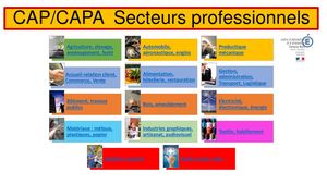 Fiches diplômes CAP CAPA Académie de Toulouse