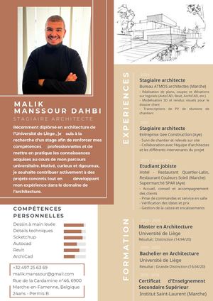 Malik Manssour Dahbi Cv