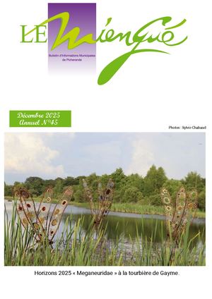 Miengue Picherande N45 Web