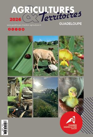 Flipbook Cag 2026 2