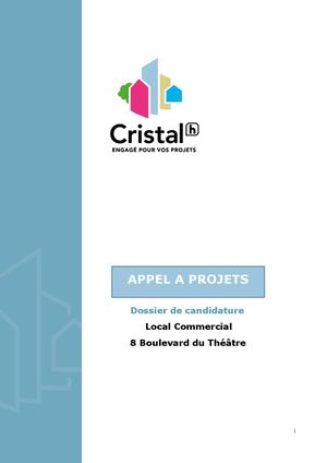 Dossier De Candidature - 8 boulevard du Théatre