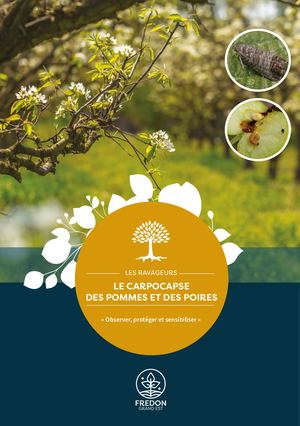 Carpocapse Pommes Poires